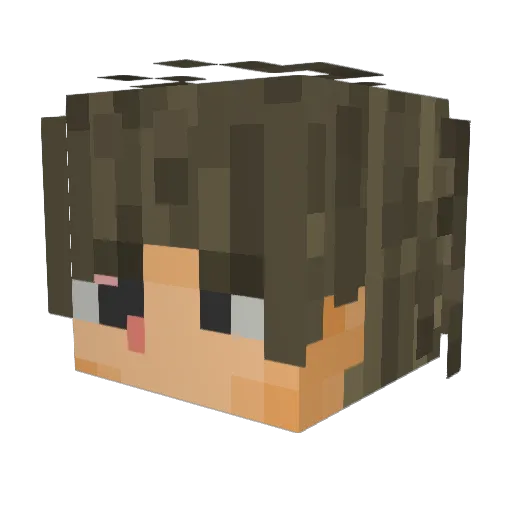 TwoDoor33 Minecraft avatar head, 3D render
