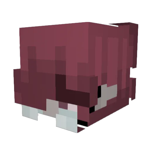 TwoEyedGhost Minecraft avatar head, 3D render