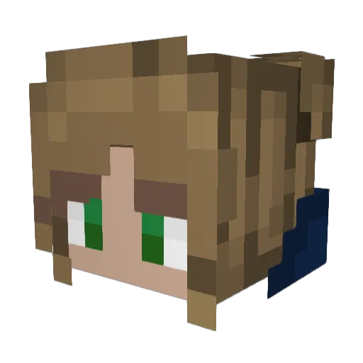 TwoFace002 Minecraft avatar head, 3D render