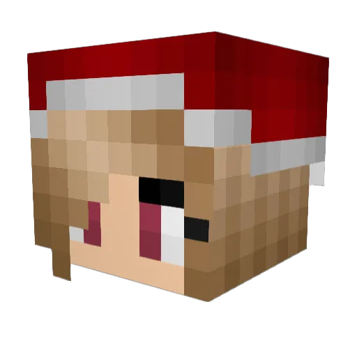 TwoGerbilDoves Minecraft avatar head, 3D render