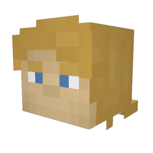 Minecraft-Avatar von TwoRatsAreCute: Kopf als 3D-Render