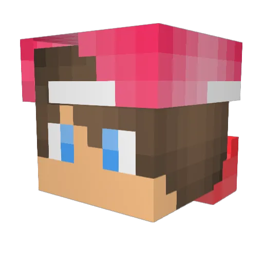 TwoSpider904705 Minecraft avatar head, 3D render