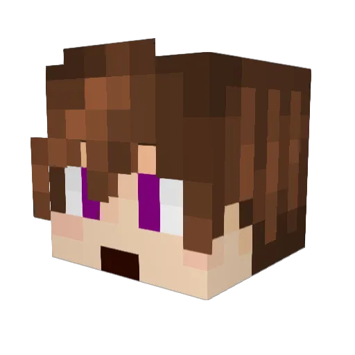 TwoSpiritJedi Minecraft avatar head, 3D render