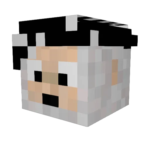 TwoTime223 Minecraft avatar head, 3D render
