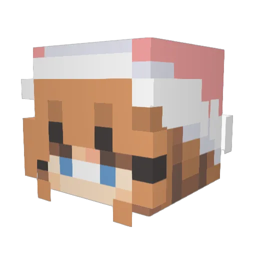 Two_Teen22 Minecraft avatar head, 3D render