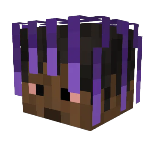 TwojStary1469 Minecraft avatar head, 3D render