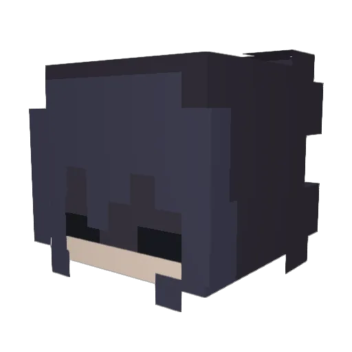 Twolife2838 Minecraft avatar head, 3D render