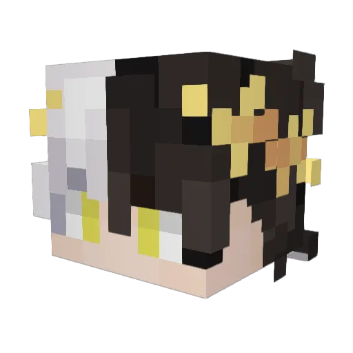 Twoneeew Minecraft avatar head, 3D render