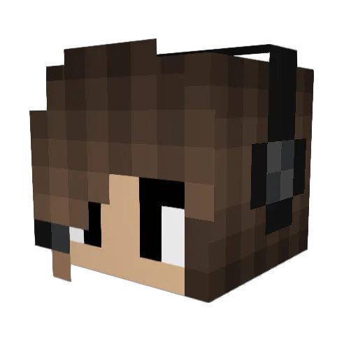 Twooldforthisxd Minecraft avatar head, 3D render