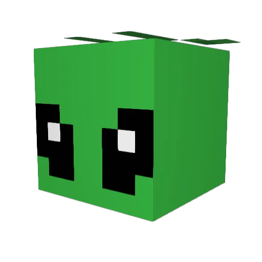 Twoosie Minecraft avatar head, 3D render