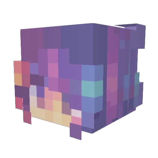 Twosep Minecraft avatar head, 3D render
