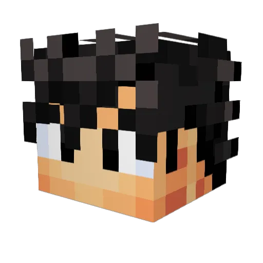 Twostone Minecraft avatar head, 3D render