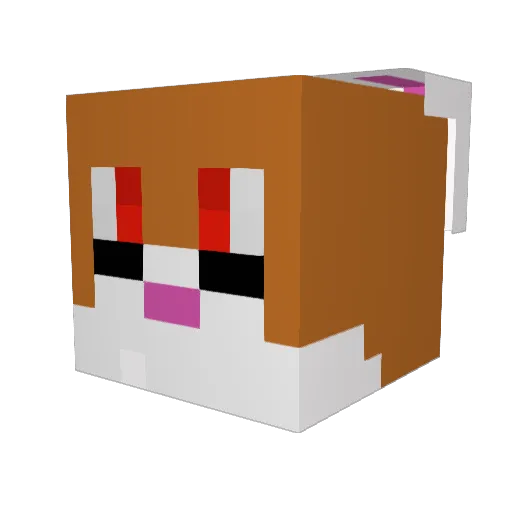 Twoyu Minecraft avatar head, 3D render