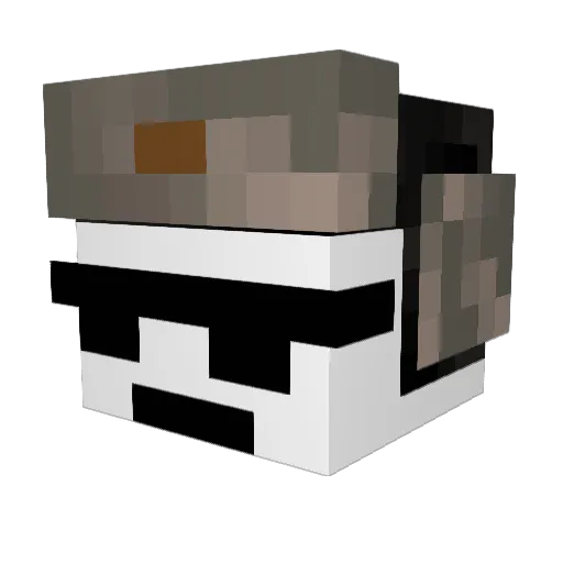 TwoyyaStara Minecraft avatar head, 3D render