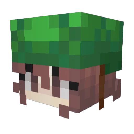 Twurttle Minecraft avatar head, 3D render