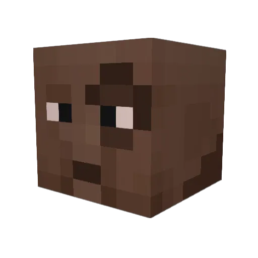 Twutle22 Minecraft avatar head, 3D render
