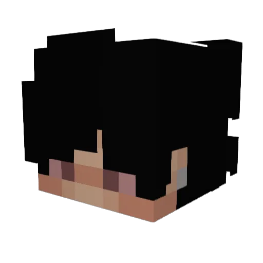 Twxst Minecraft avatar head, 3D render