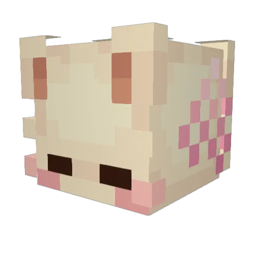 Twylabeans Minecraft avatar head, 3D render