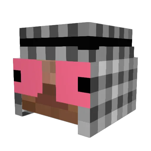 Twzzzzzzzy Minecraft avatar head, 3D render