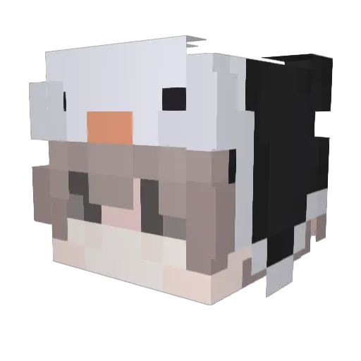 TxC_Jamo Minecraft avatar head, 3D render