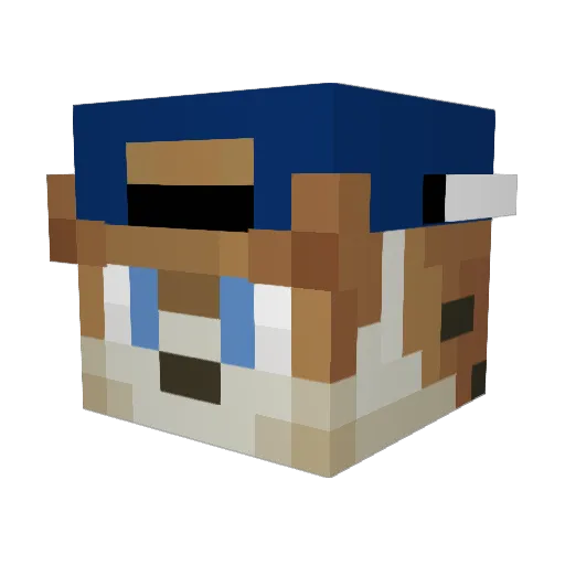 TxG3r Minecraft avatar head, 3D render