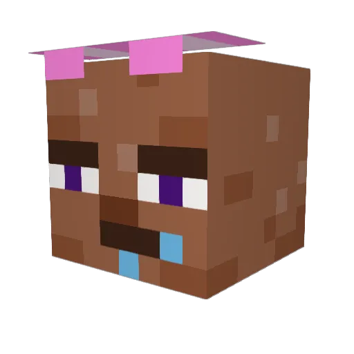 TxHx_ Minecraft avatar head, 3D render