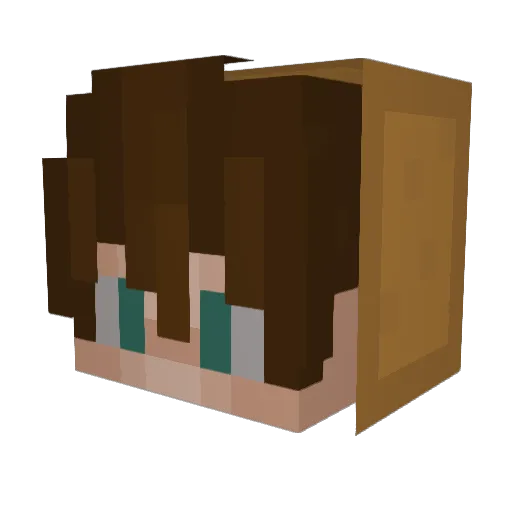 TxMMY20 Minecraft avatar head, 3D render