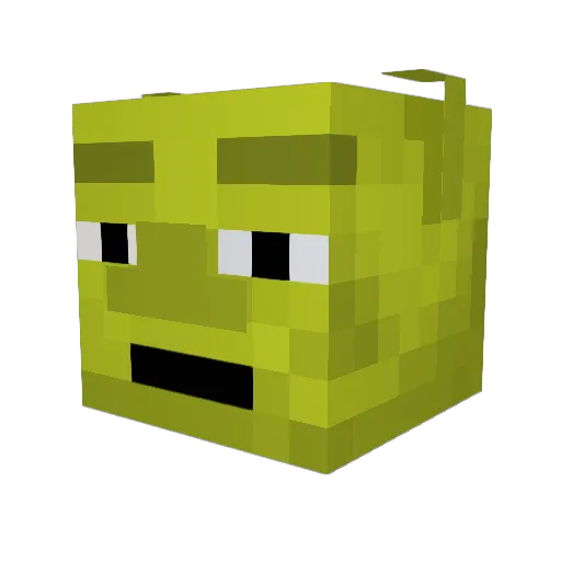 TxSooner2005 Minecraft avatar head, 3D render