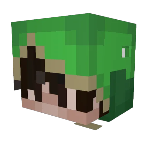 Tx_QvQ Minecraft avatar head, 3D render