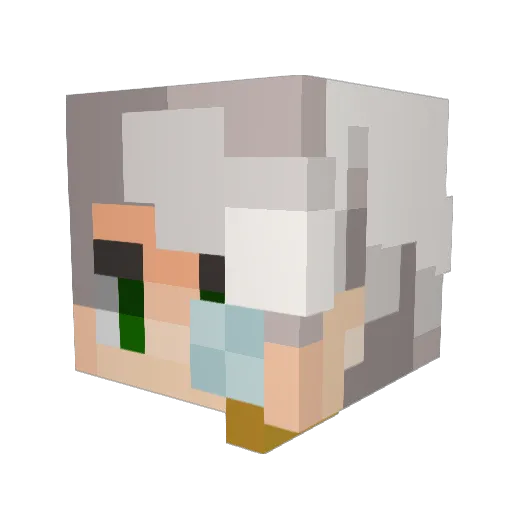 Txb1xs Minecraft avatar head, 3D render