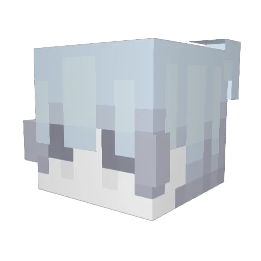 Txc4ce Minecraft avatar head, 3D render