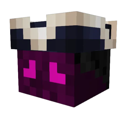 Txinks Minecraft avatar head, 3D render