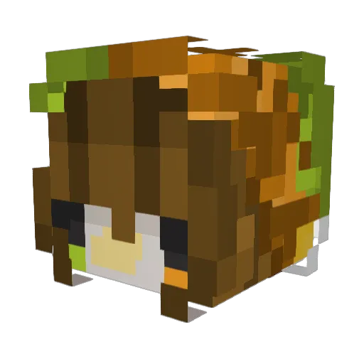 Txinxty Minecraft avatar head, 3D render
