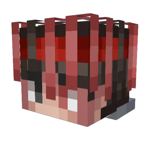 TxkBoi Minecraft avatar head, 3D render
