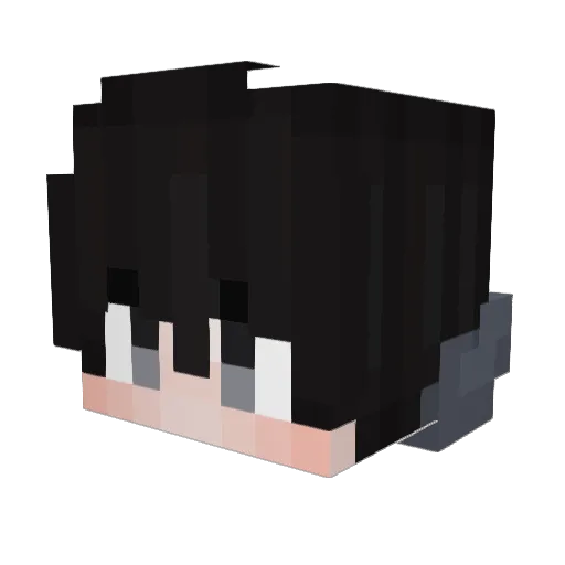 Txng06 Minecraft avatar head, 3D render