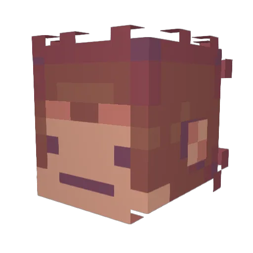 Txnkman_ Minecraft avatar head, 3D render
