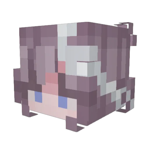 Txqql4Verbindunq Minecraft avatar head, 3D render