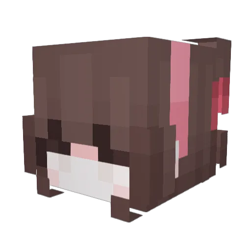 Txrturedpoet Minecraft avatar head, 3D render