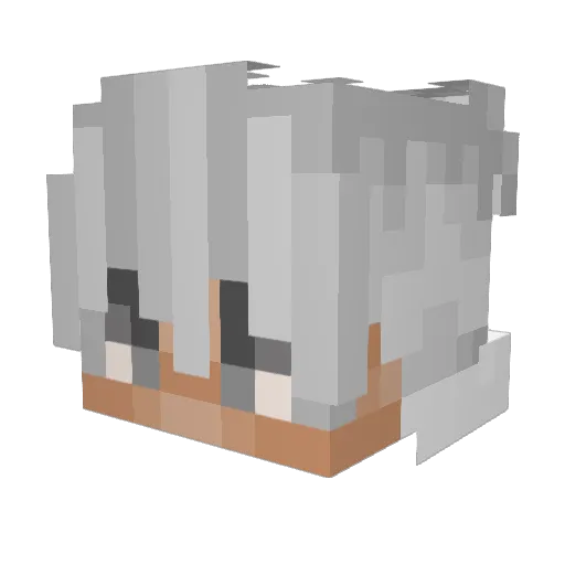 Txsikl Minecraft avatar head, 3D render