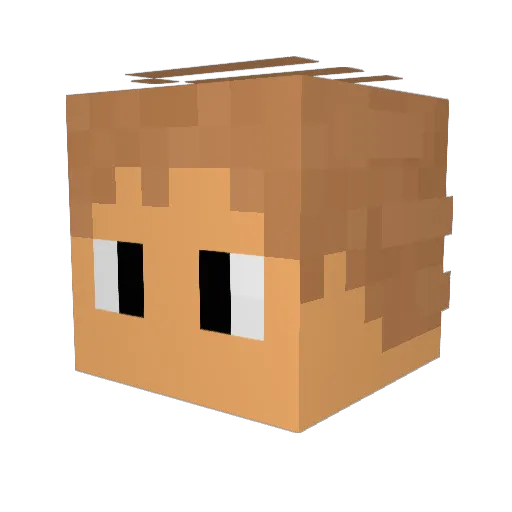 TxtPETER2to75555 Minecraft avatar head, 3D render