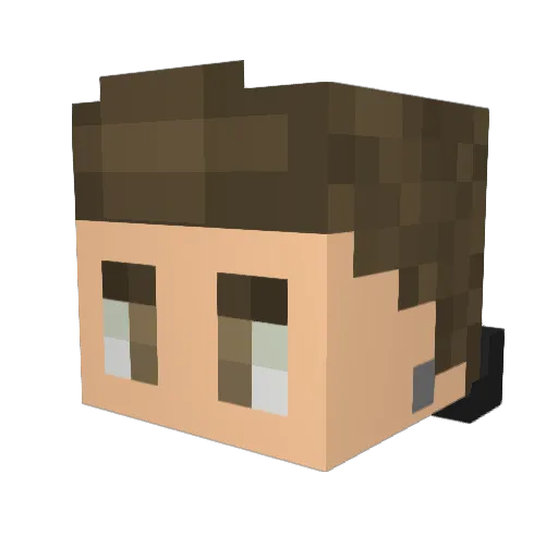 Txuspi Minecraft avatar head, 3D render