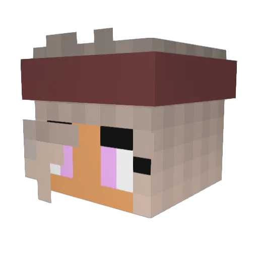 Txylorx52 Minecraft avatar head, 3D render