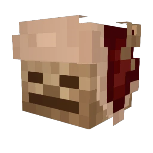 Txzlaa Minecraft avatar head, 3D render