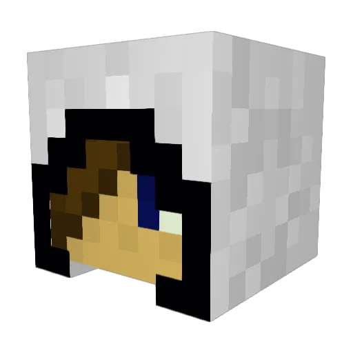 Ty1013 Minecraft avatar head, 3D render