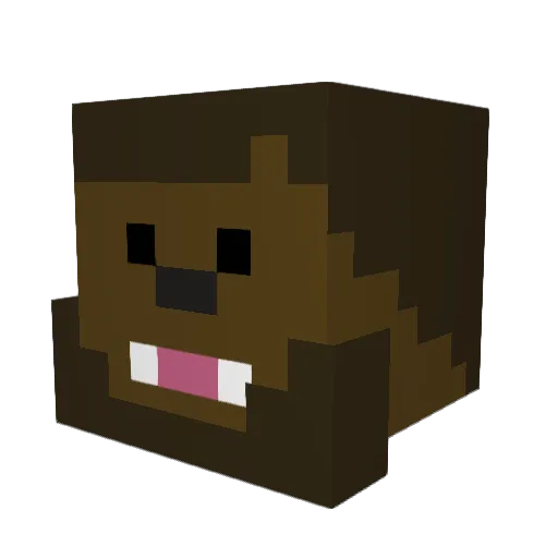 Ty13rocks Minecraft avatar head, 3D render