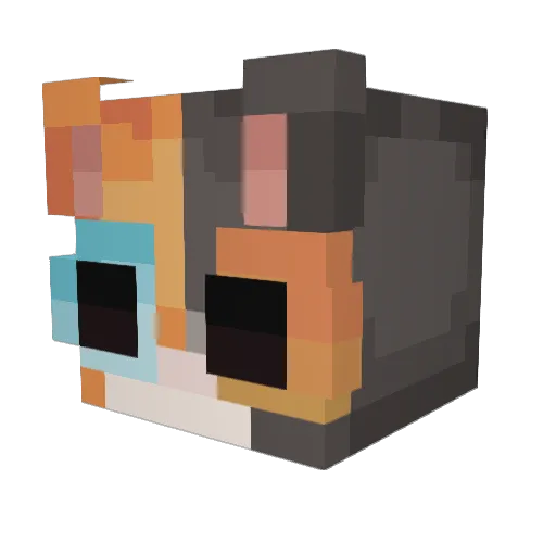 Ty260 Minecraft avatar head, 3D render