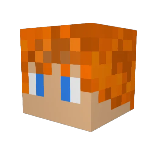 Ty2Fly Minecraft avatar head, 3D render