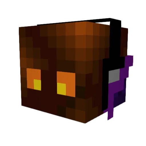 TyBarbary Minecraft avatar head, 3D render