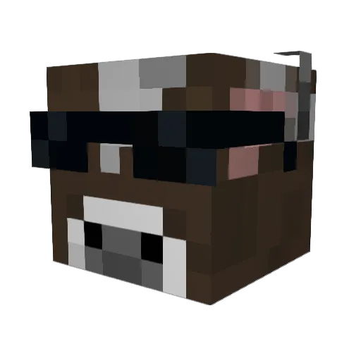 TyBoomBoom Minecraft avatar head, 3D render