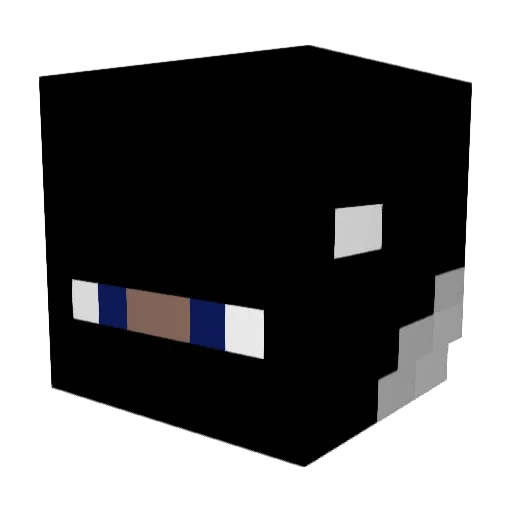 TyDaDonn Minecraft avatar head, 3D render